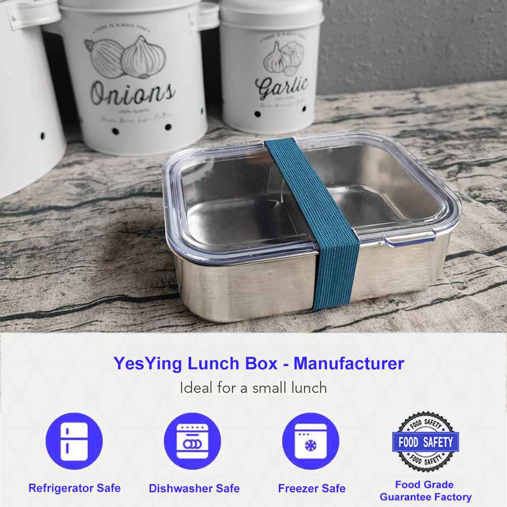 Stainless Steel Luch Box Food Container With Plastic Lid, Strap